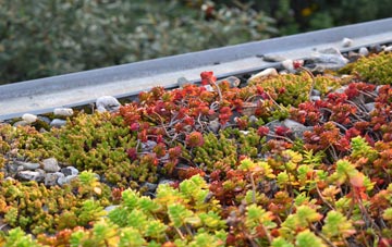 the cost of Bridge Of Dun green roof installation