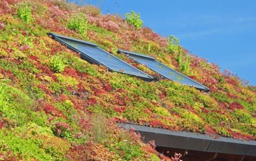 Bridge Of Dun living roof systems
