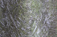 Bridge Of Dun fibreglass roof work